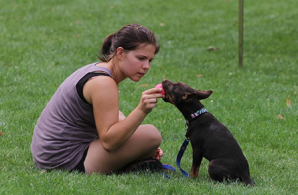 Puchar Polski Agility w Legnickim Polu