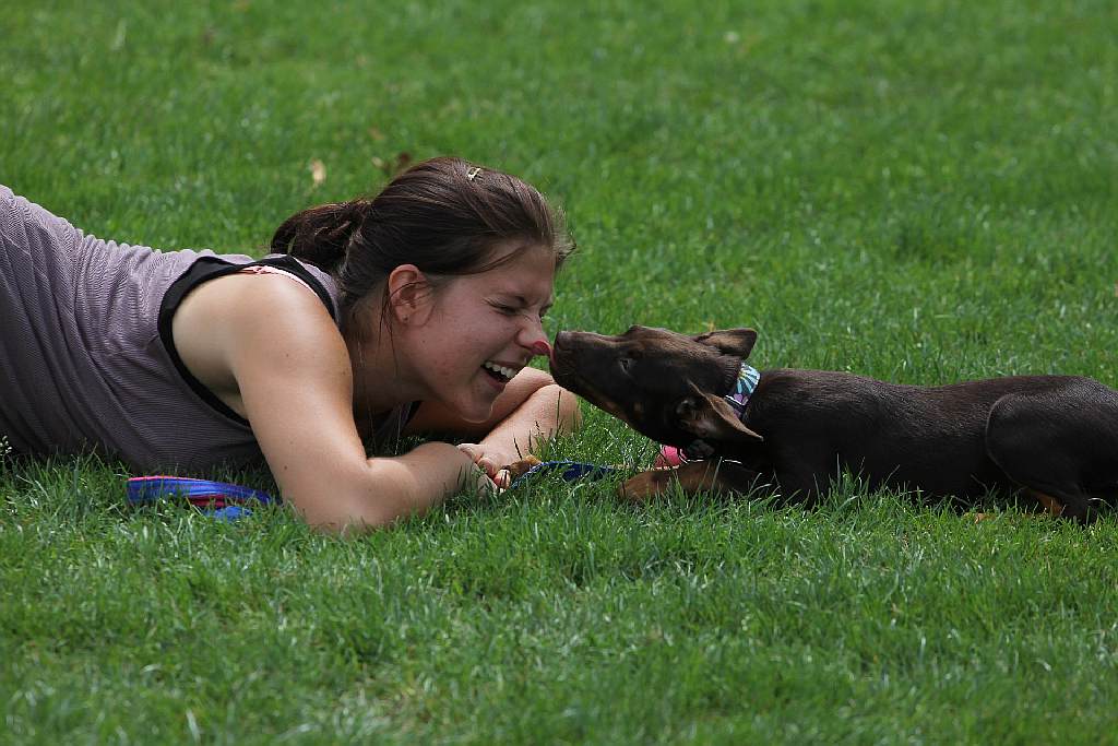 Puchar Polski Agility w Legnickim Polu