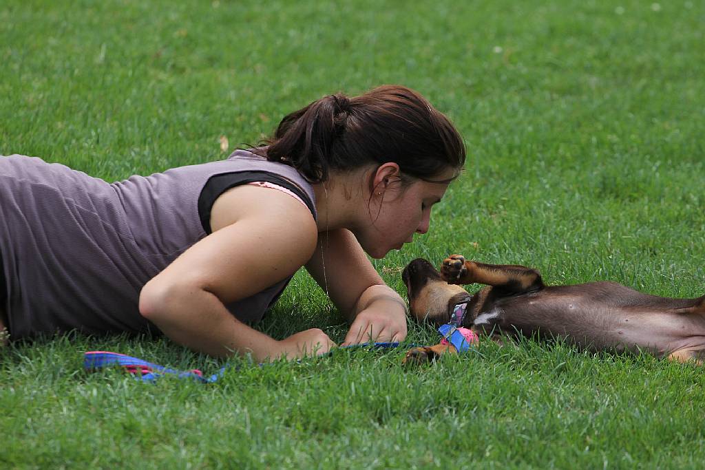 Puchar Polski Agility w Legnickim Polu
