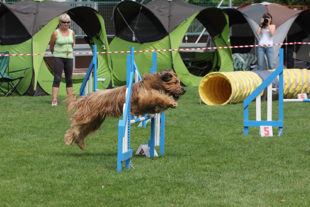 Puchar Polski Agility w Legnickim Polu