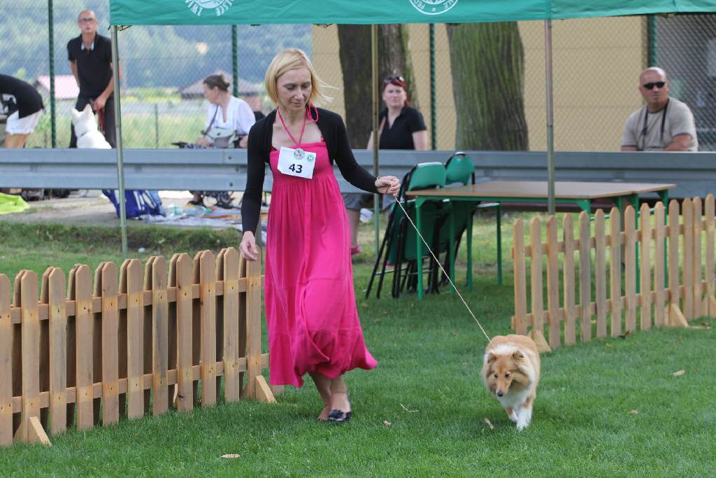 Puchar Polski Agility w Legnickim Polu
