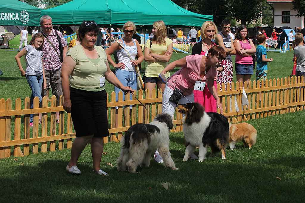 Puchar Polski Agility w Legnickim Polu