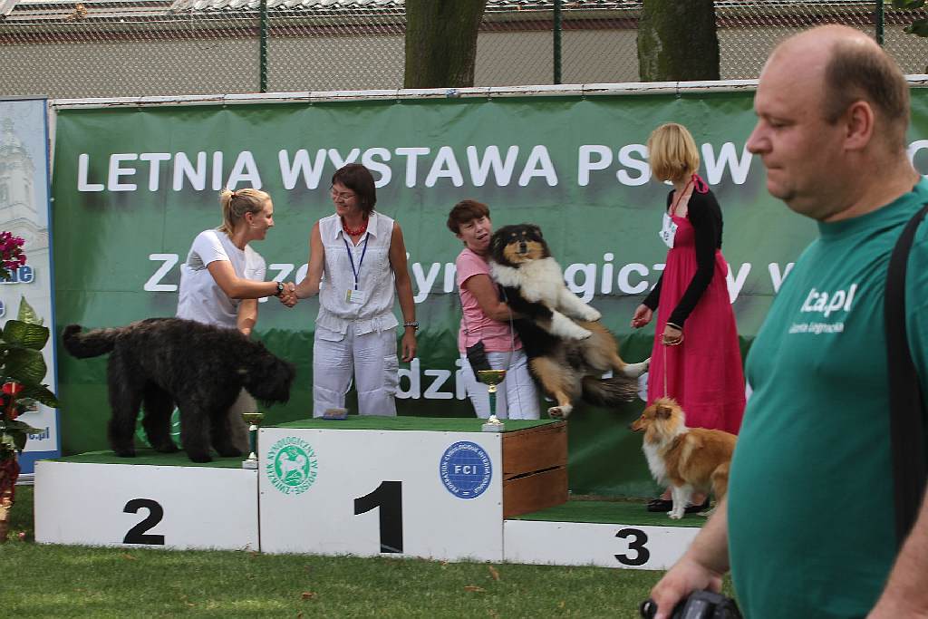 Puchar Polski Agility w Legnickim Polu