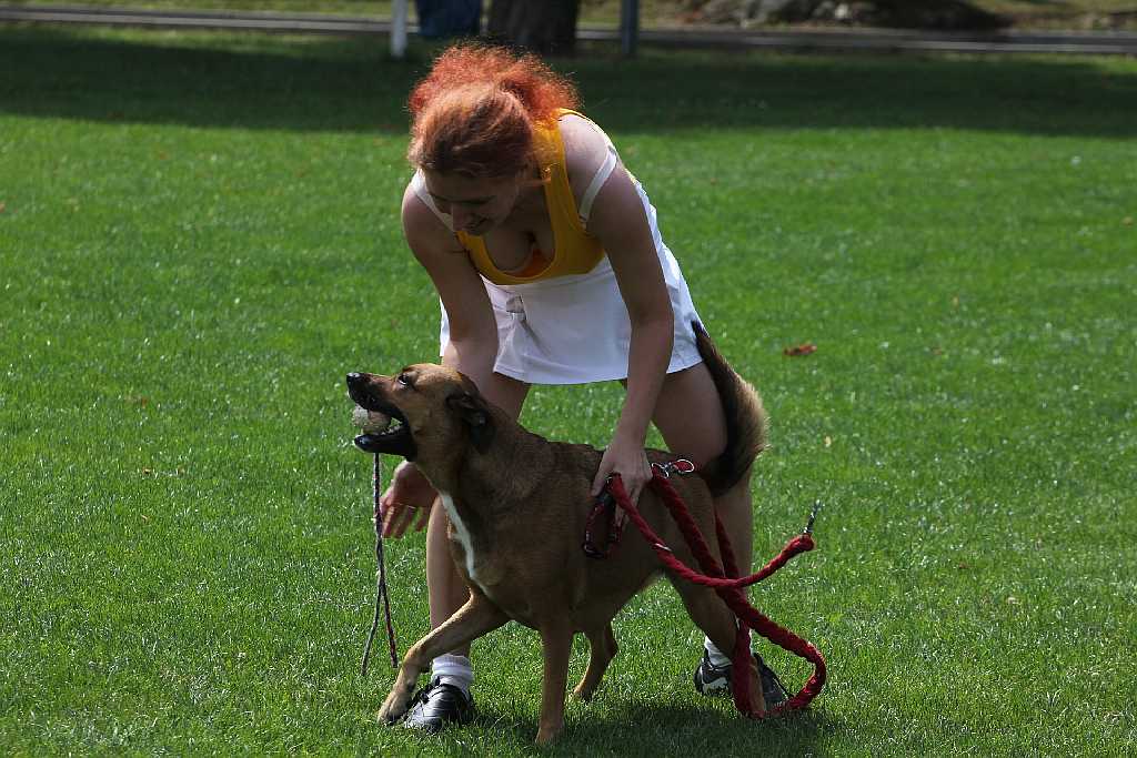 Puchar Polski Agility w Legnickim Polu