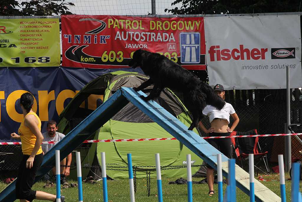 Puchar Polski Agility w Legnickim Polu