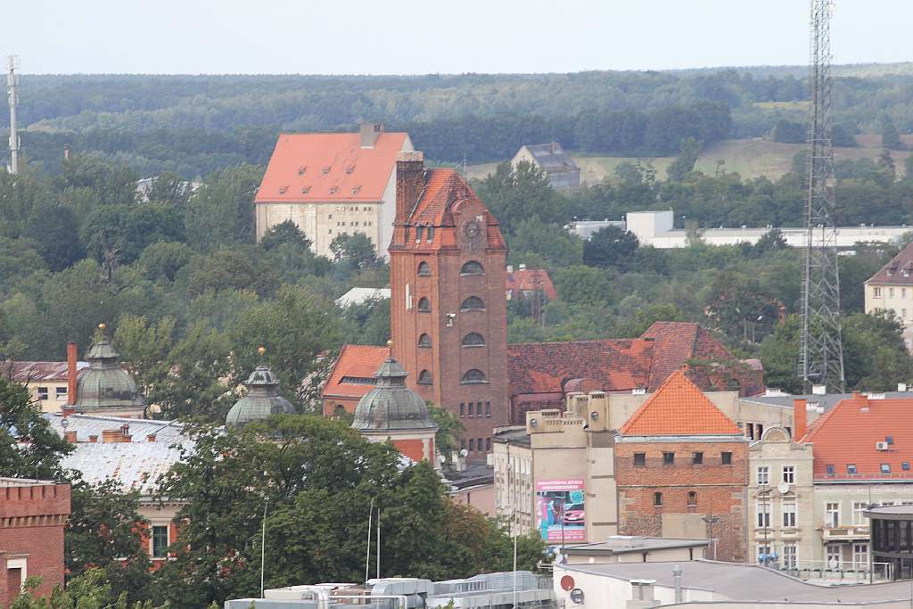 Legnica z wieży kościoła