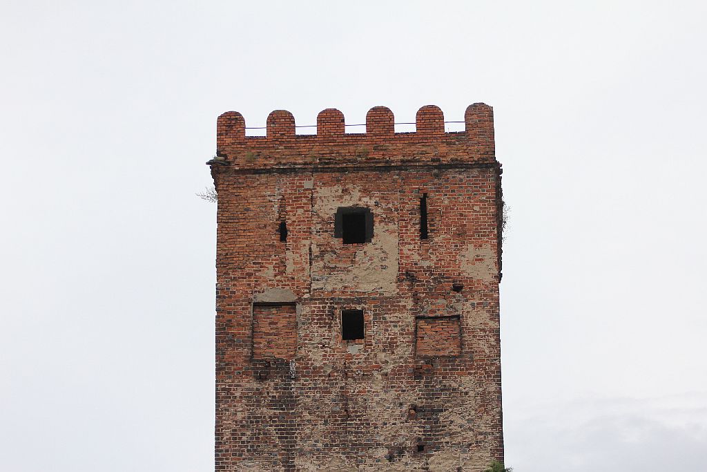 Napoleon stanął u wrót Prochowic