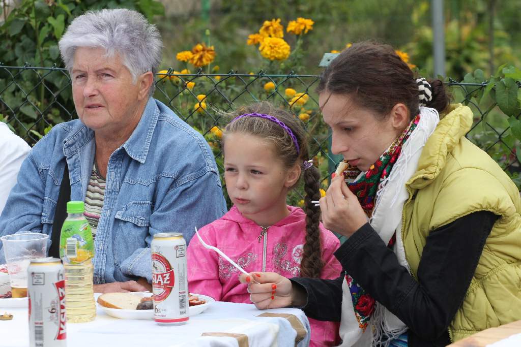 Elektryfikacja ogródków działkowych