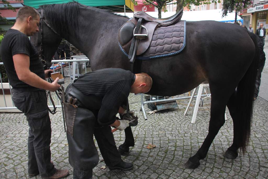  Imieniny Najświętszej Marii Panny cz.4