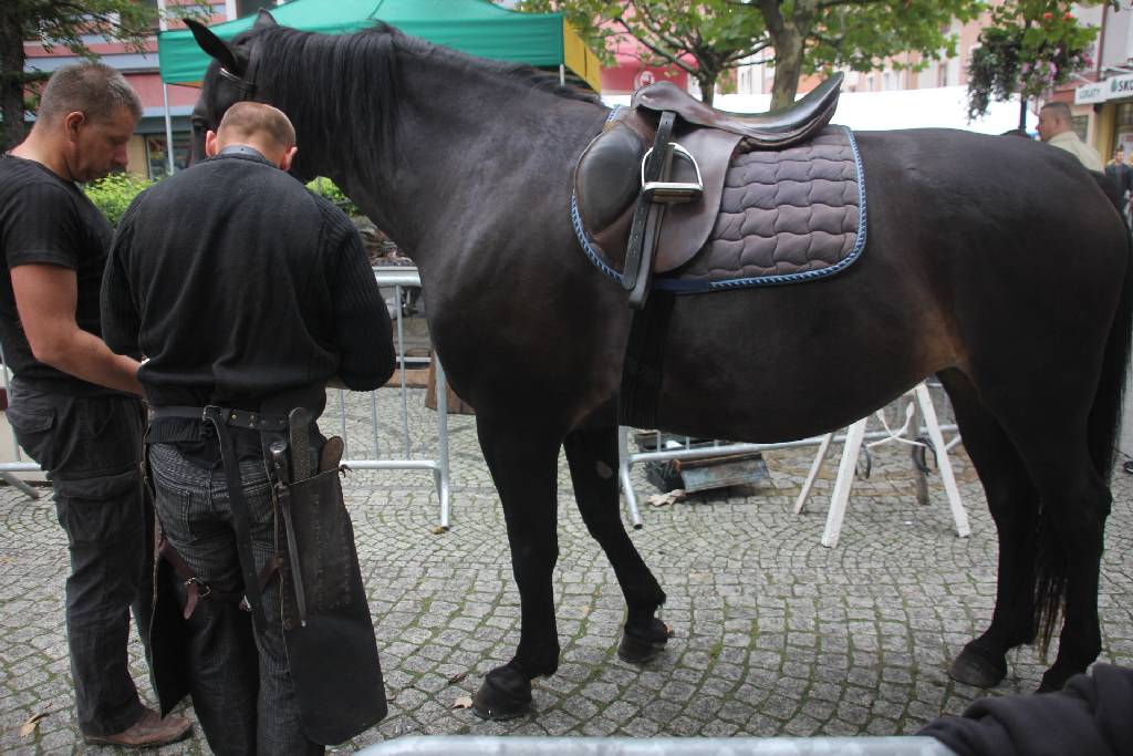  Imieniny Najświętszej Marii Panny cz.4