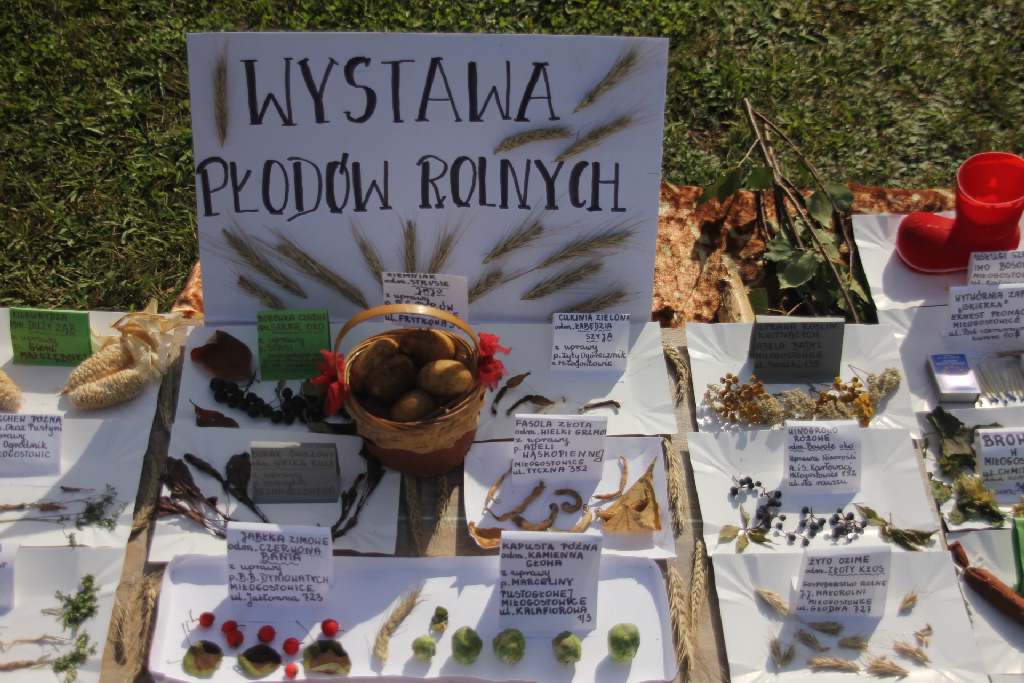 Gmina Kunice świętowała dożynki