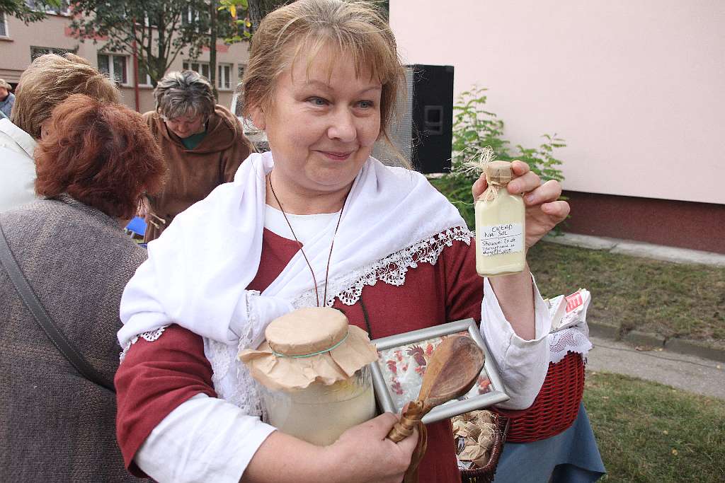Osada Średniowieczna w Koperniku
