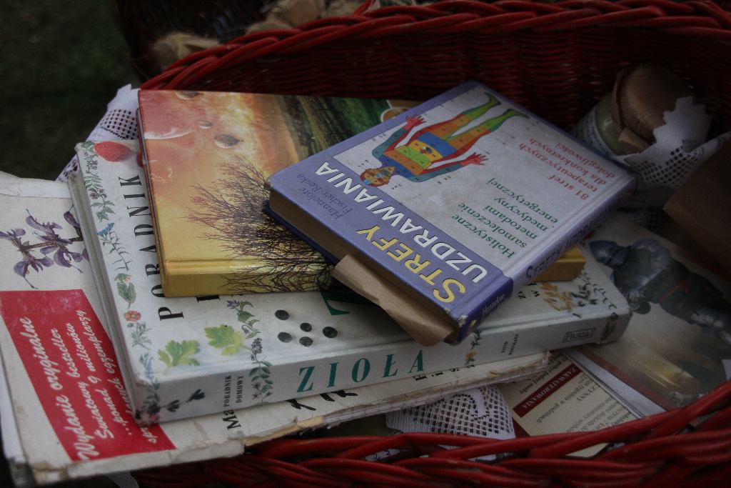 Osada Średniowieczna w Koperniku
