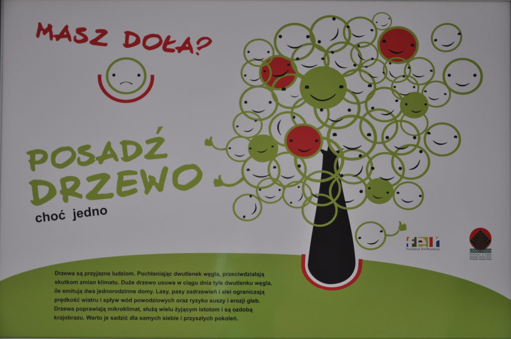 Ekowystawa Gmina z klimatem w Rynku