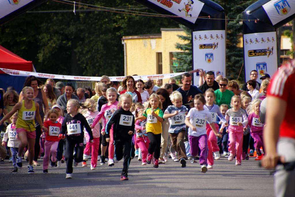 Dolnośląskie święto miodu i wina