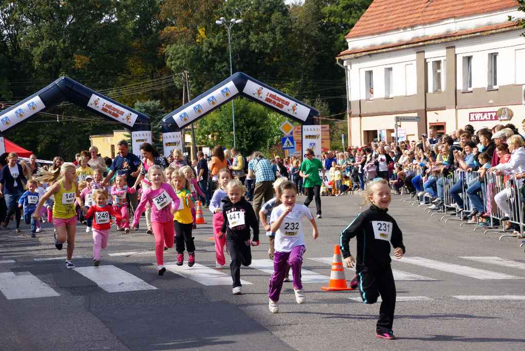 Dolnośląskie święto miodu i wina