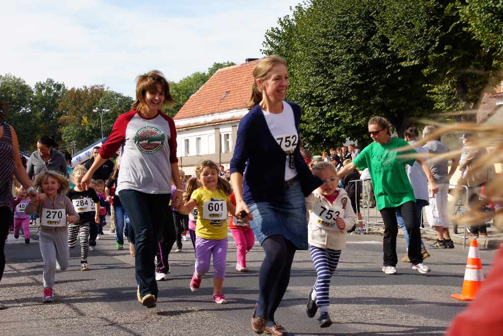 Dolnośląskie święto miodu i wina
