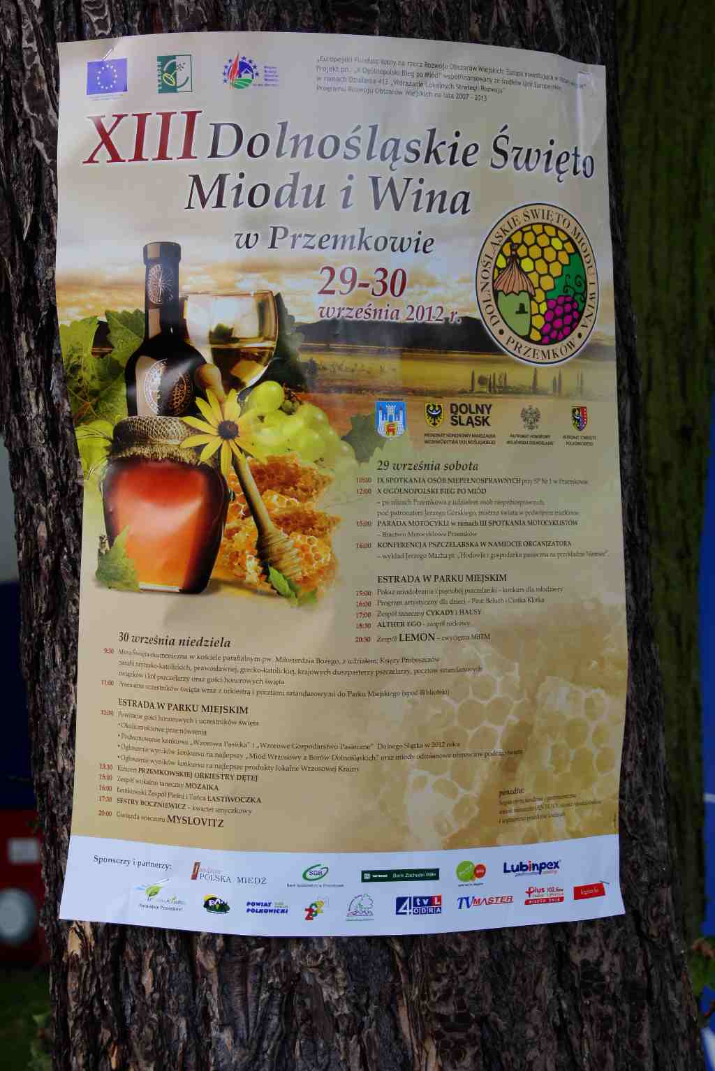 Dolnośląskie święto miodu i wina