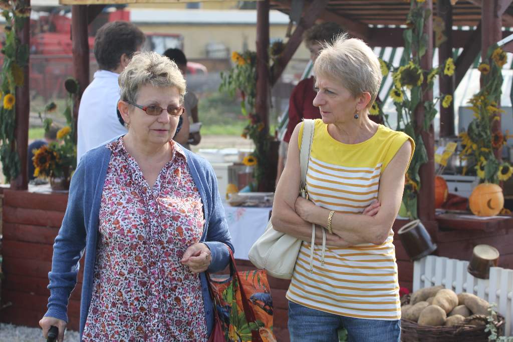 W Gniewomirowicach ziemniak w roli głównej