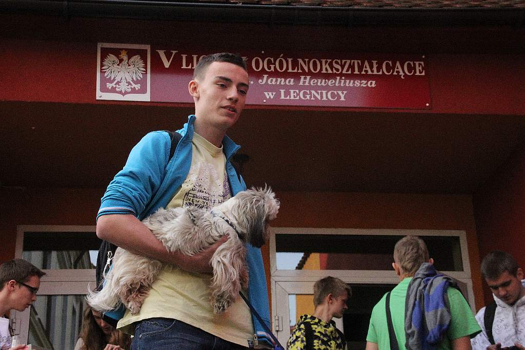 Dzień Zwierząt w V LO w Legnicy