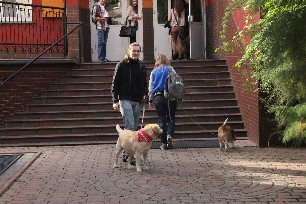 Dzień Zwierząt w V LO w Legnicy