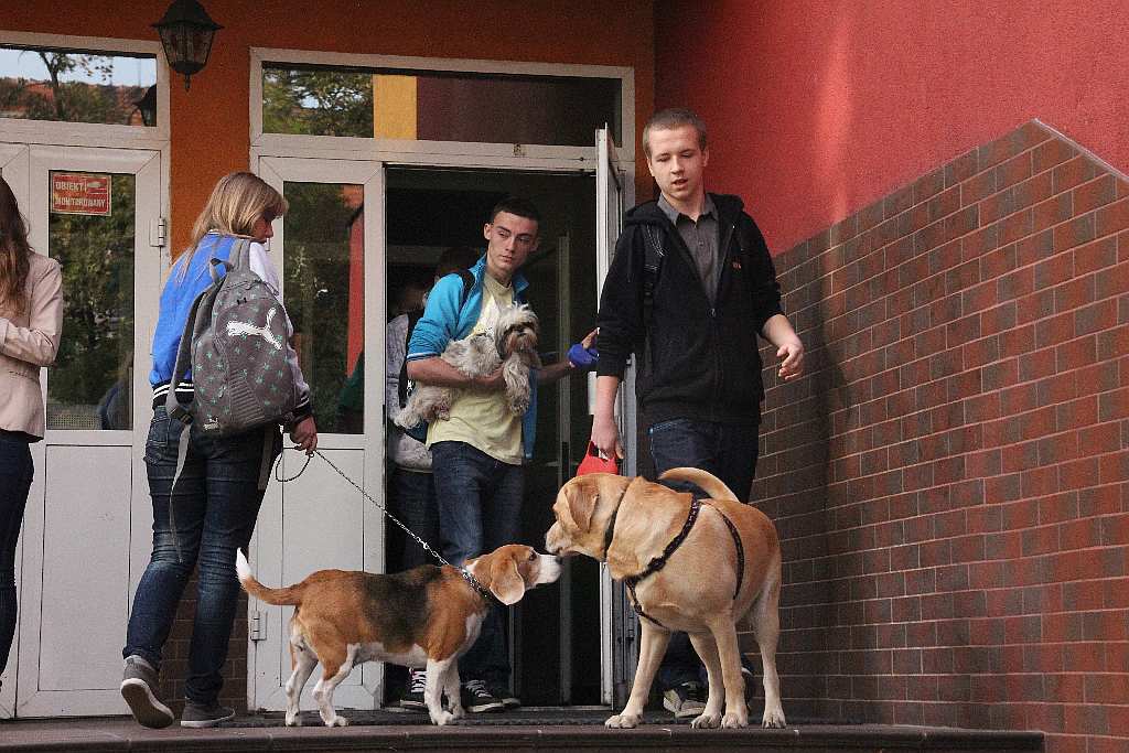 Dzień Zwierząt w V LO w Legnicy