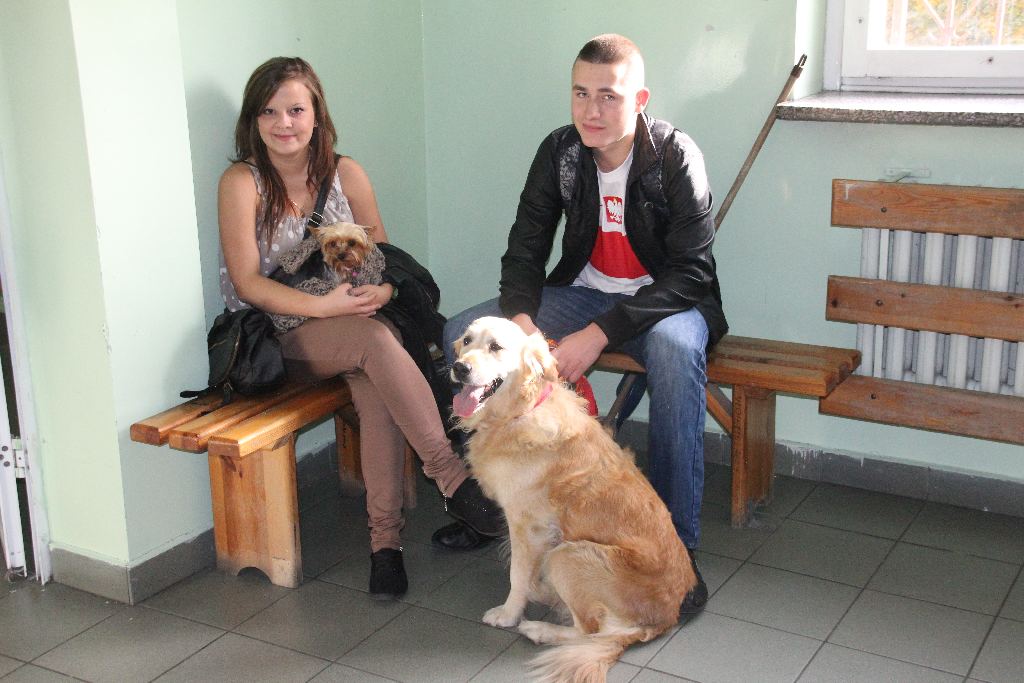 Dzień Zwierząt w V LO w Legnicy