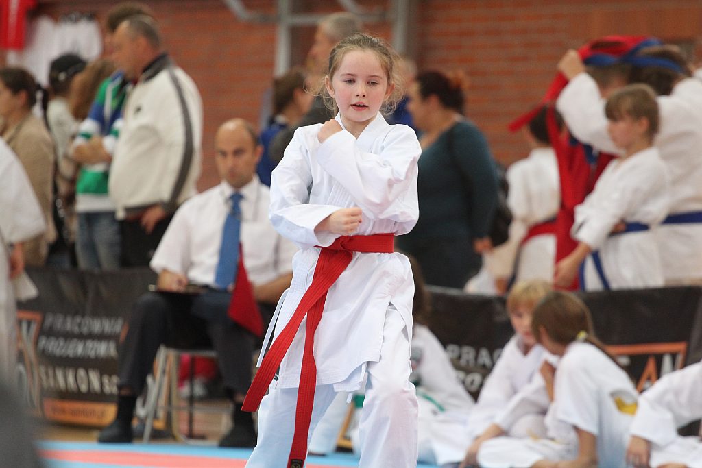 XXI Mistrzostwa Ziemi Legnickiej w Karate cz2