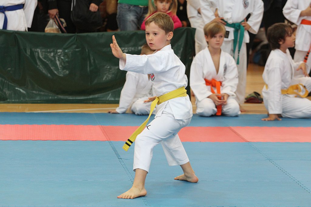 XXI Mistrzostwa Ziemi Legnickiej w Karate cz1