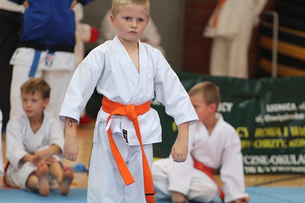 XXI Mistrzostwa Ziemi Legnickiej w Karate cz1