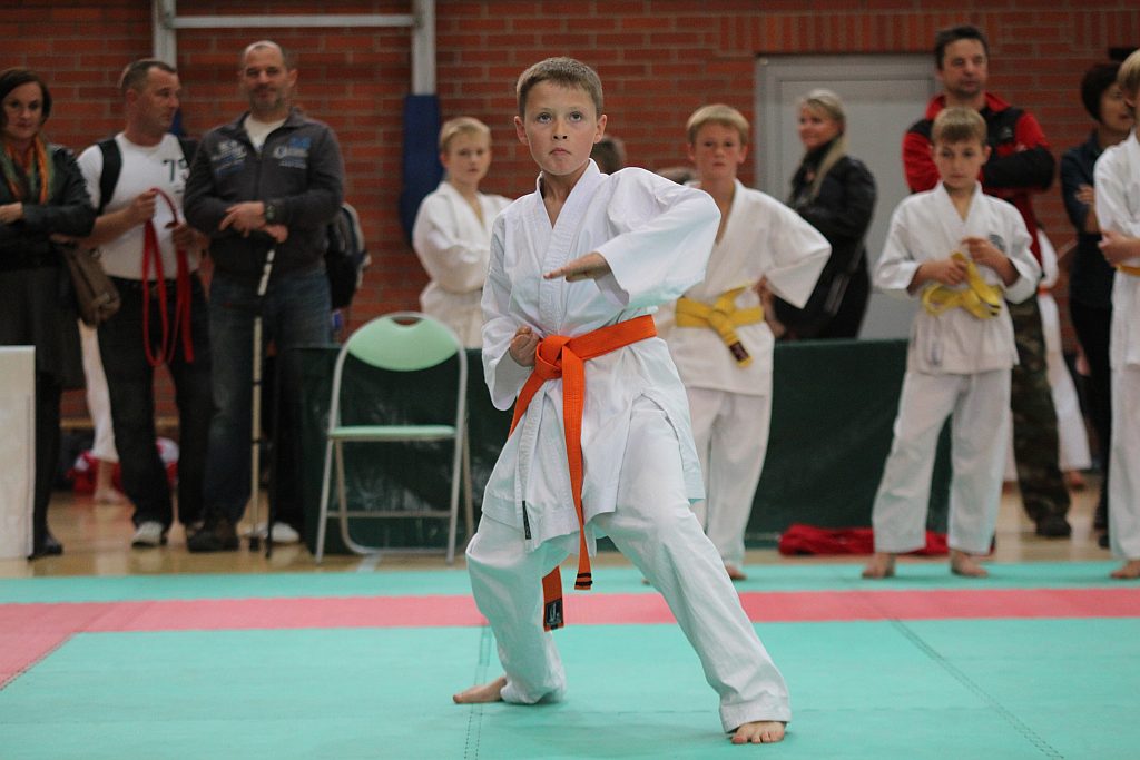 XXI Mistrzostwa Ziemi Legnickiej w Karate cz1