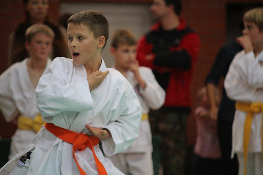 XXI Mistrzostwa Ziemi Legnickiej w Karate cz1
