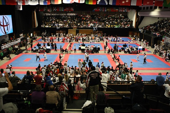 IV Puchar Świata w Taekwon-do