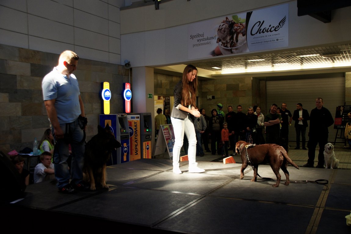 Flop Show prezentacje