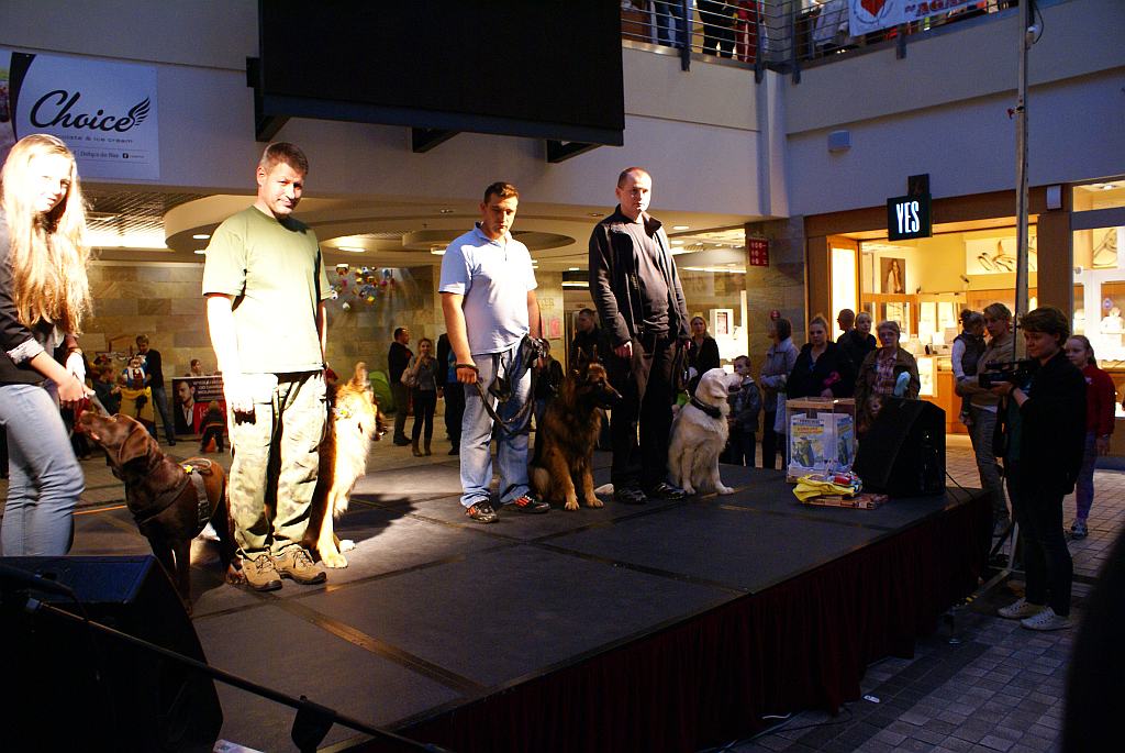 Flop Show prezentacje
