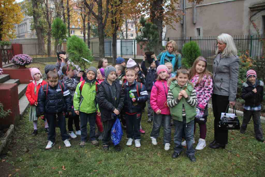 Akcja MCK na Dzień Drzewa