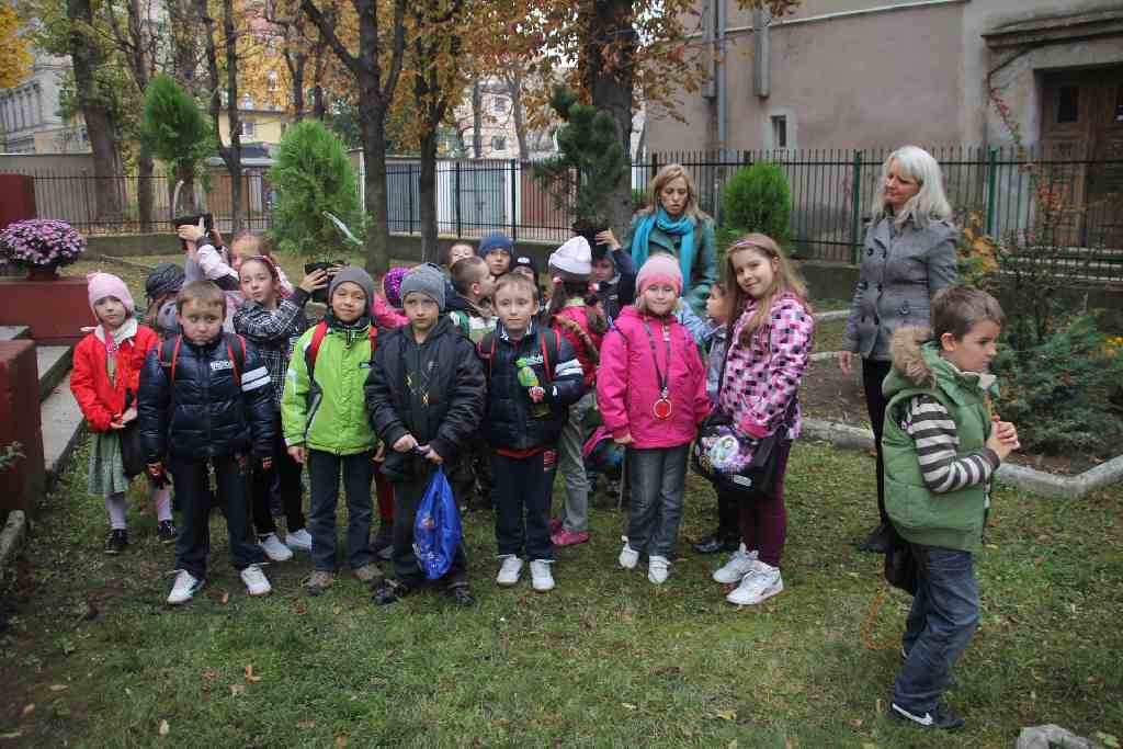 Akcja MCK na Dzień Drzewa