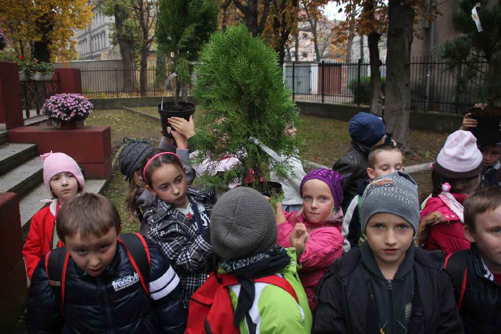 Akcja MCK na Dzień Drzewa