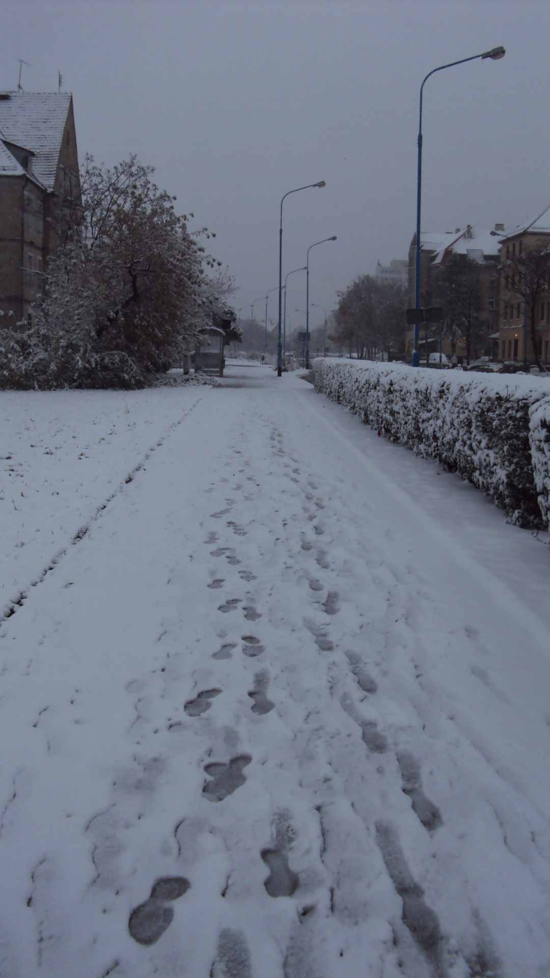 Pierwsze opady śniegu