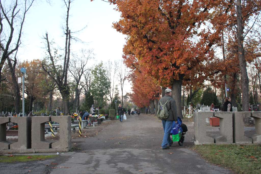 Cmentarz Komunalny przy Wrocławskiej