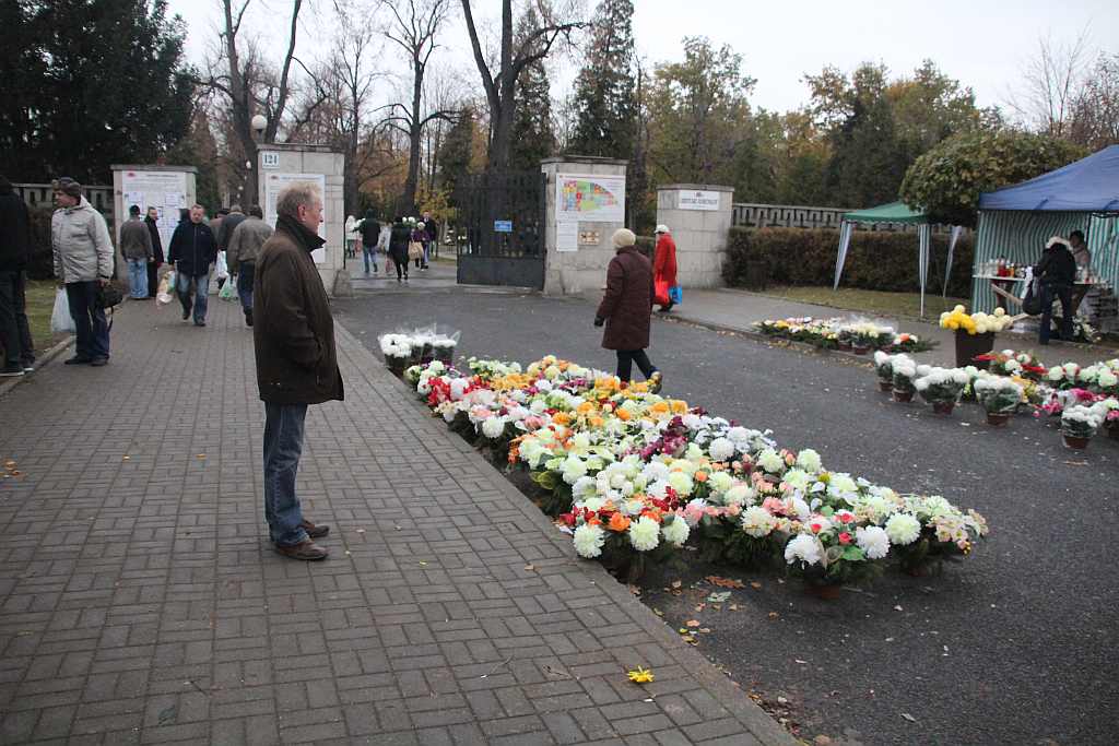 Wszystkich Świętych na Cmentarzu Komunalnym w Legnicy