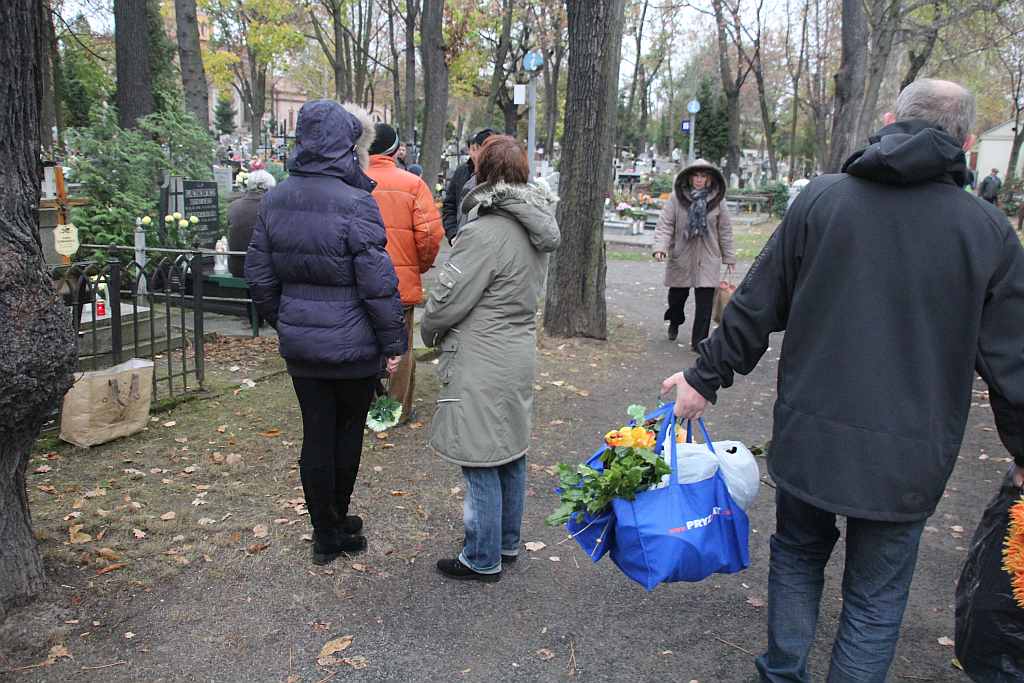 Wszystkich Świętych na Cmentarzu Komunalnym w Legnicy