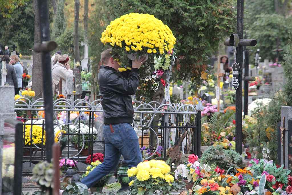 Wszystkich Świętych na Cmentarzu Komunalnym w Legnicy