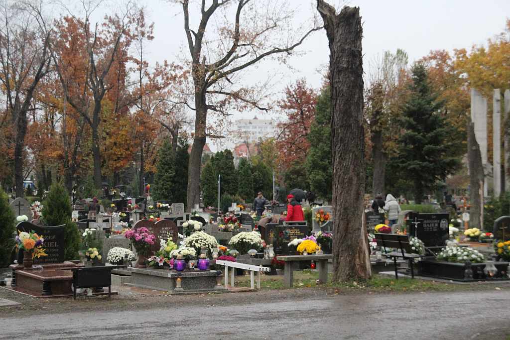 Wszystkich Świętych na Cmentarzu Komunalnym w Legnicy