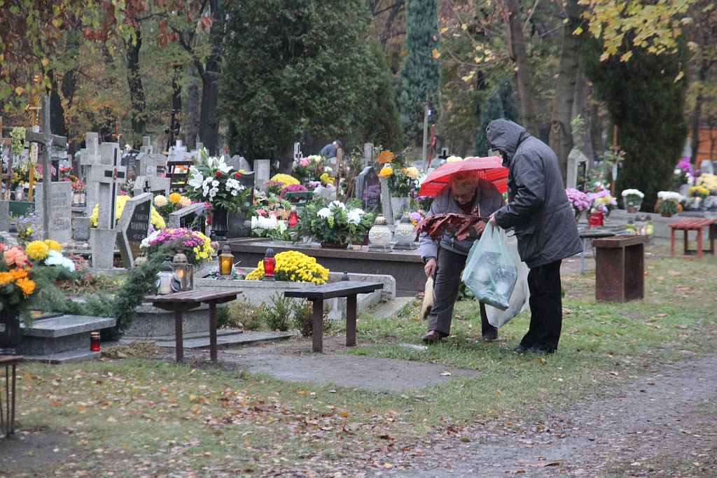 Wszystkich Świętych na Cmentarzu Komunalnym w Legnicy