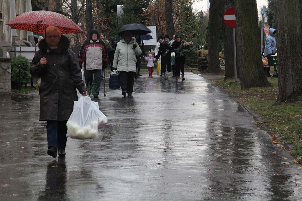 Wszystkich Świętych na Cmentarzu Komunalnym w Legnicy