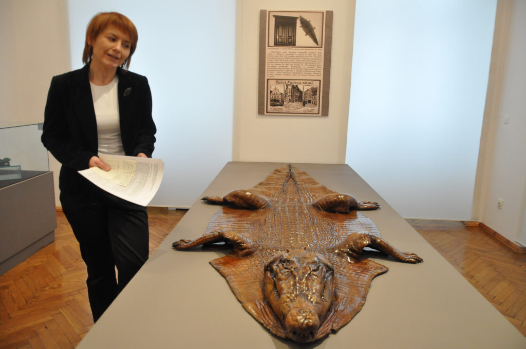 Nabytki Muzeum Miedzi w Legnicy 1992 - 2012