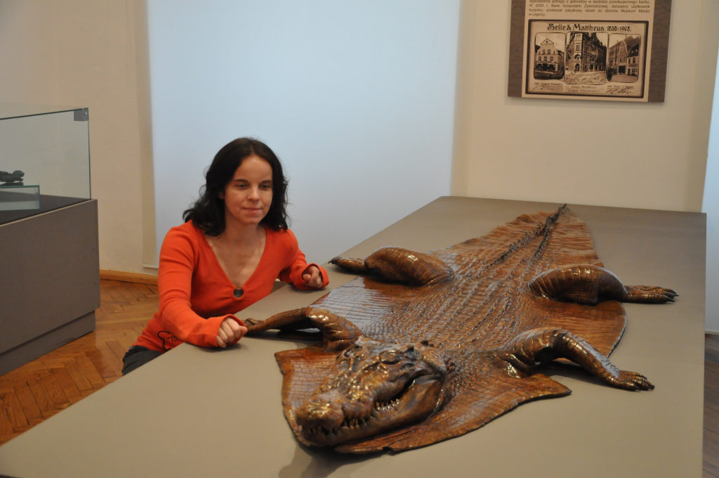 Nabytki Muzeum Miedzi w Legnicy 1992 - 2012