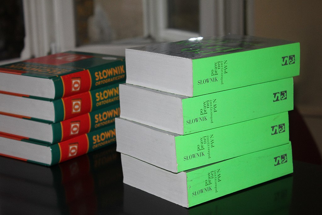 Próbna matura z języka polskiego