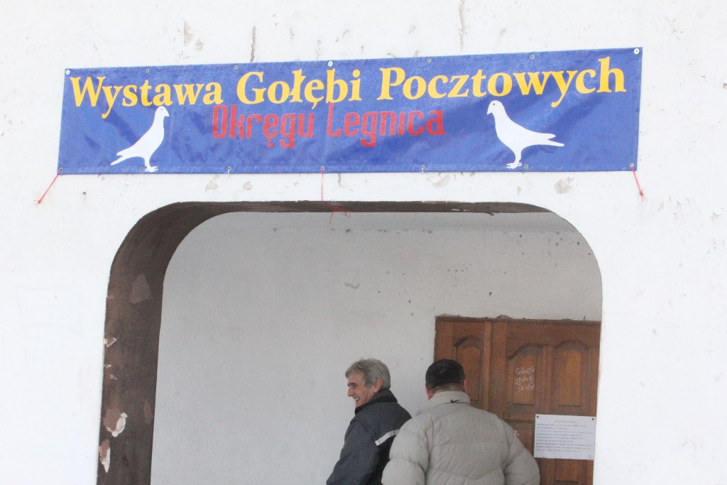 Wystawa Gołębi Pocztowych